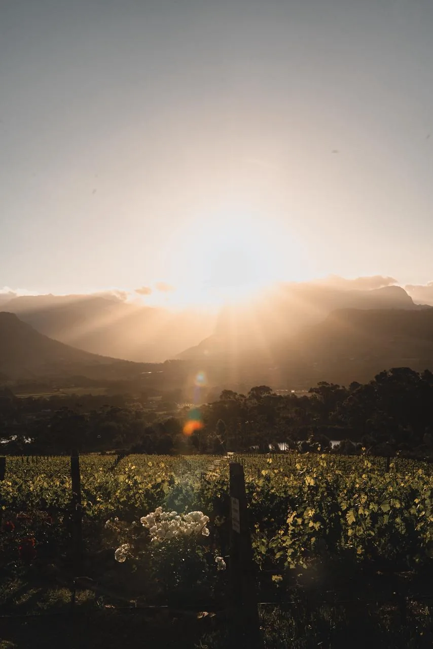 A luz atravessa as montanhas e transforma o intervalo entre pratos em parte do almoço.