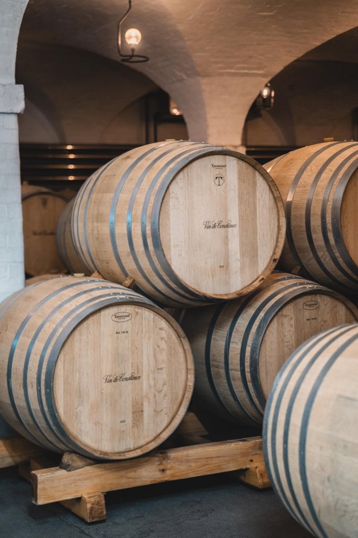 O vinho como documento do território em Constantia.