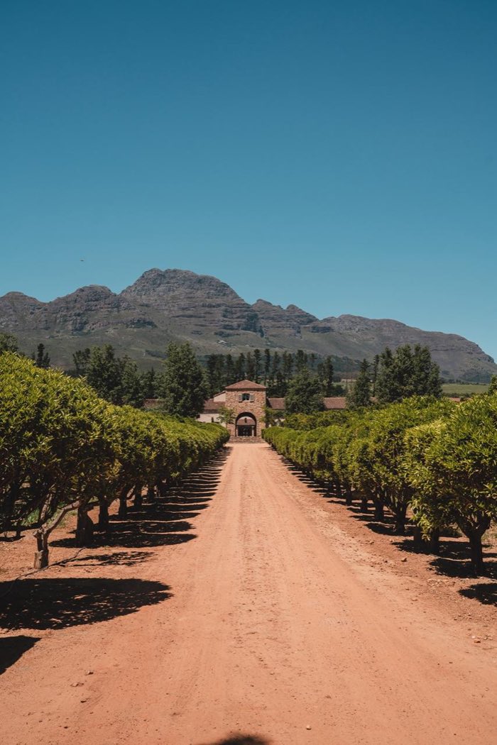 Stellenbosch & Constantia