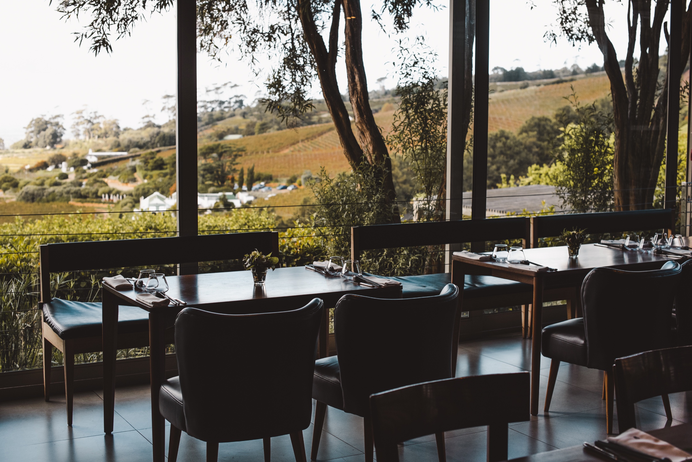 Mesa diante das vinhas de Constantia durante a primeira edição