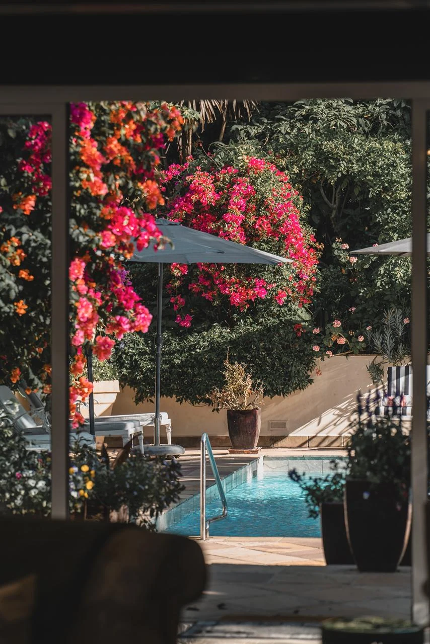 Jardim do The Last Word Constantia