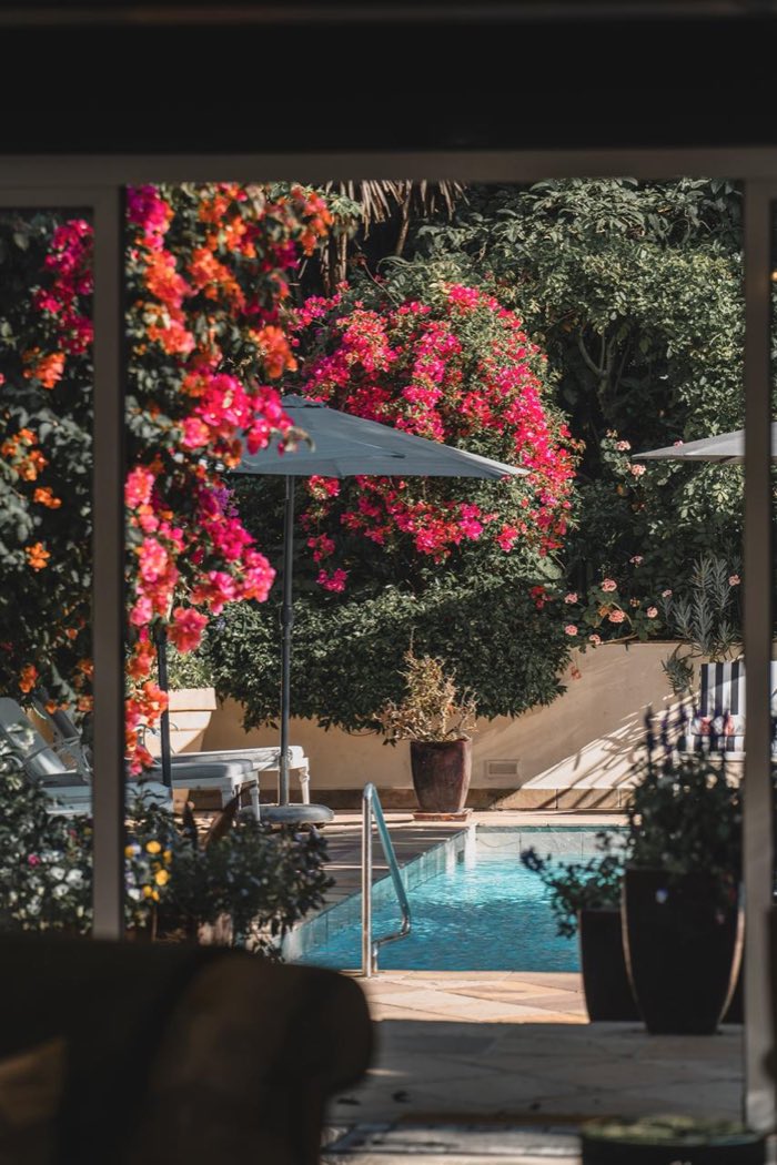 Jardim e piscina do The Last Word Constantia